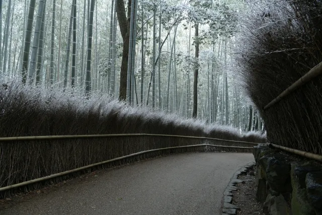 Android StudioにProject update recommendedというメッセージが出たのでAndroid Gradle Pluginを7.0.4に更新した