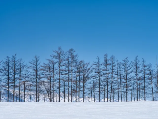 Android StudioのVimプラグインにvimrcを適用する