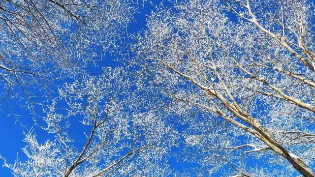 Kotlin pluginとかkotlin-gradle-pluginとかややこしいので整理する